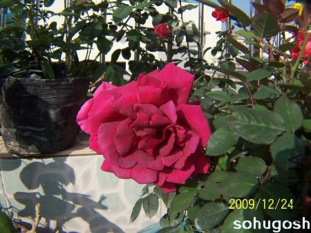 100_7361.jpg