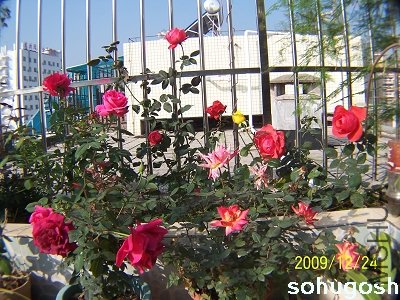 100_7357.jpg