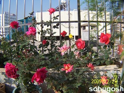 100_7356.jpg