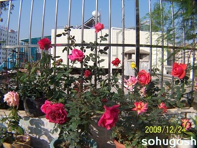 100_7358.jpg