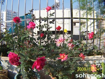 100_7355.jpg