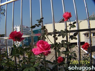 100_7366.jpg