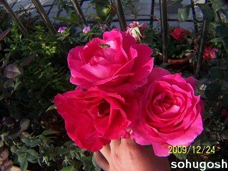 100_7319.jpg