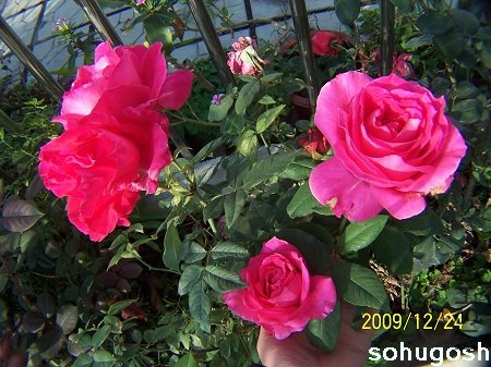 100_7325.jpg