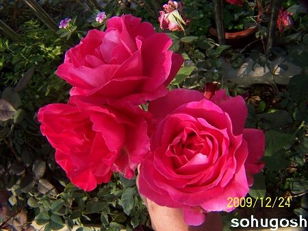 100_7323.jpg