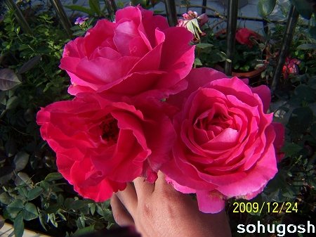 100_7320.jpg