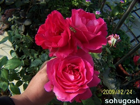 100_7322.jpg