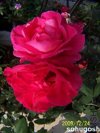 100_7330.jpg