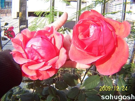 100_7314.jpg
