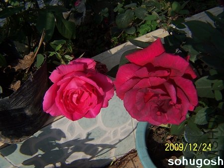 100_7363.jpg