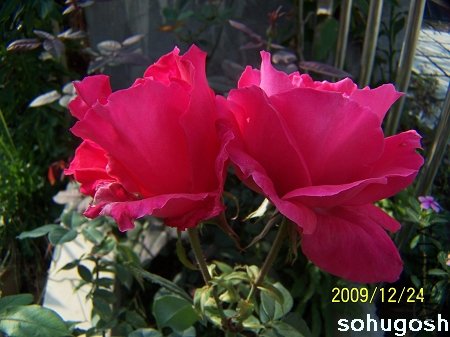 100_7329.jpg