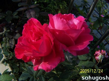 100_7301.jpg