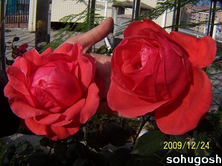 100_7315.jpg