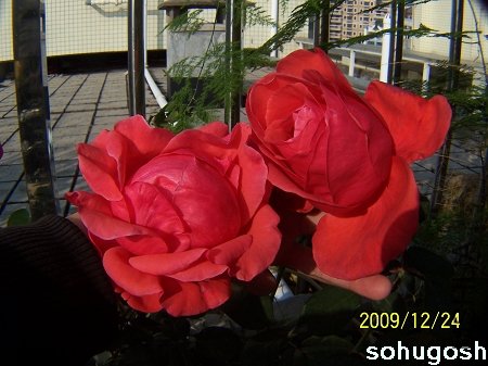 100_7313.jpg