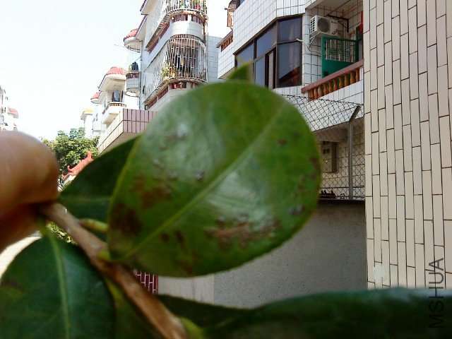 DSC00109.JPG