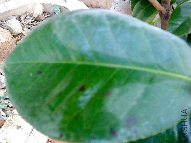 DSC00106.JPG