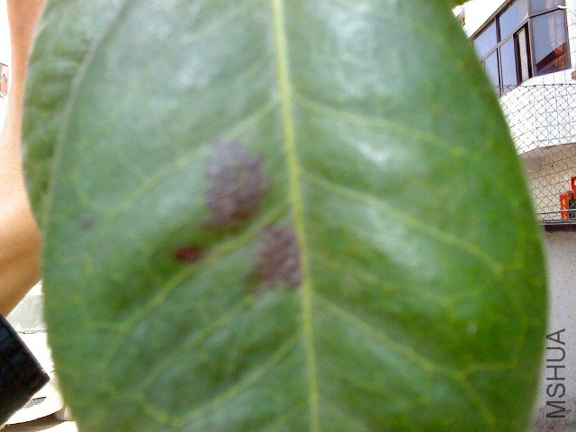 DSC00110.JPG