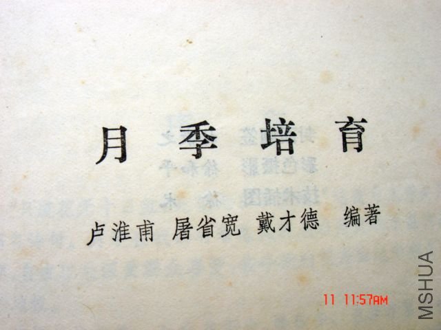 DSC06832.JPG