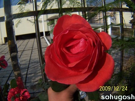 100_7311.jpg
