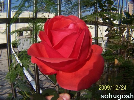 100_7310.jpg