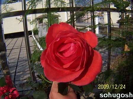 100_7309.jpg