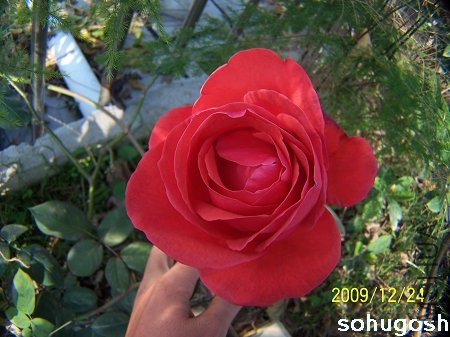 100_7308.jpg