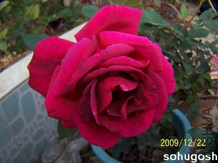 100_7246.jpg