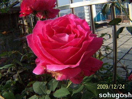 100_7327.jpg
