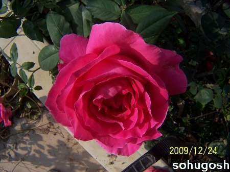 100_7328.jpg