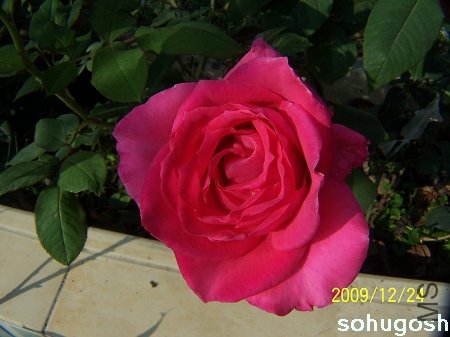 100_7326.jpg