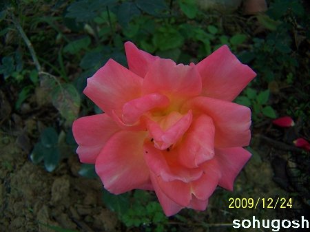 100_7351.jpg