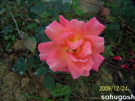 100_7352.jpg