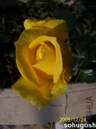 100_7344.jpg