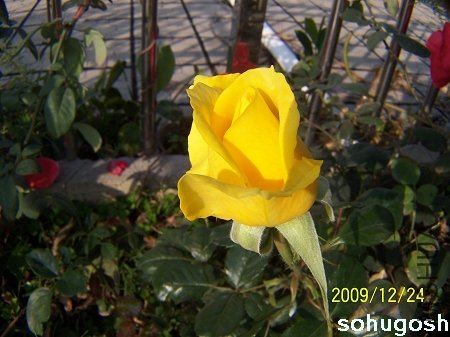 100_7343.jpg