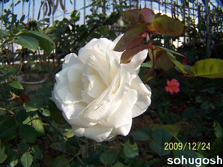 100_7367.jpg