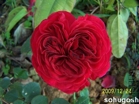 100_7368.jpg