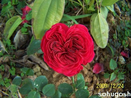 100_7347.jpg