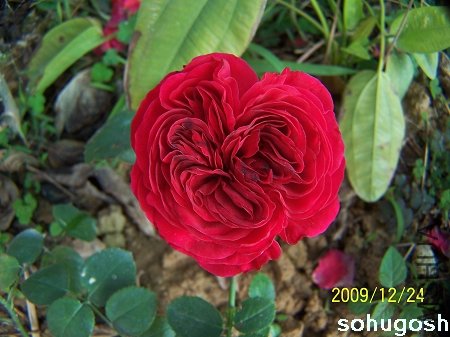 100_7346.jpg