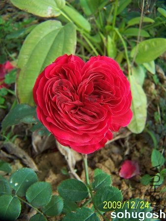 100_7349.jpg
