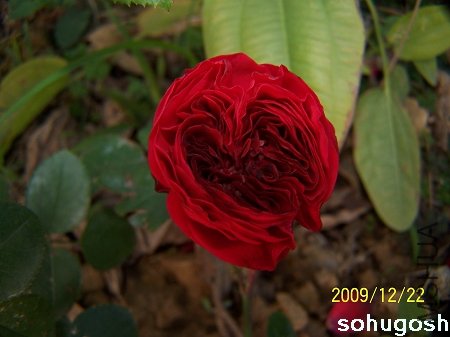 100_7251.jpg