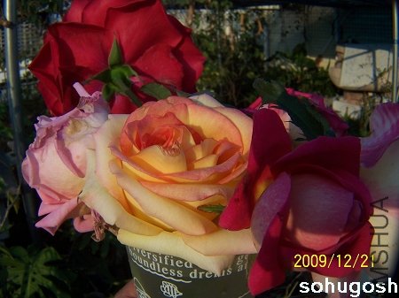 100_7165.jpg