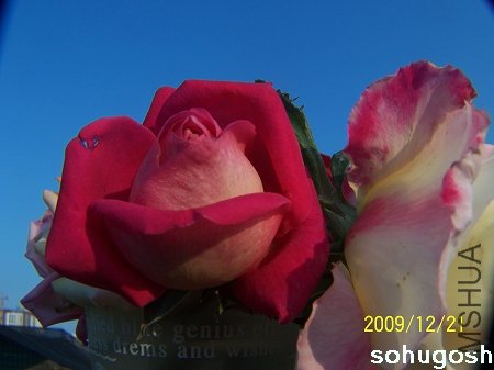 100_7171.jpg
