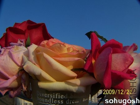100_7172.jpg