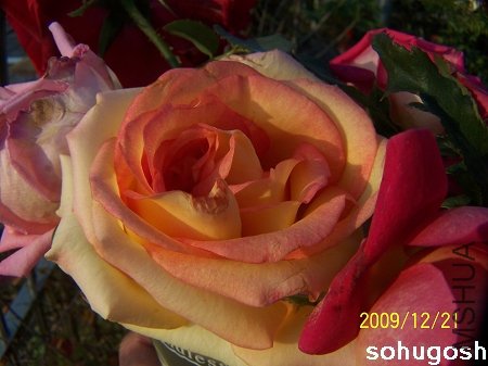100_7164.jpg