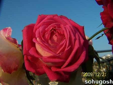 100_7167.jpg