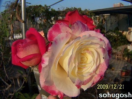 100_7166.jpg