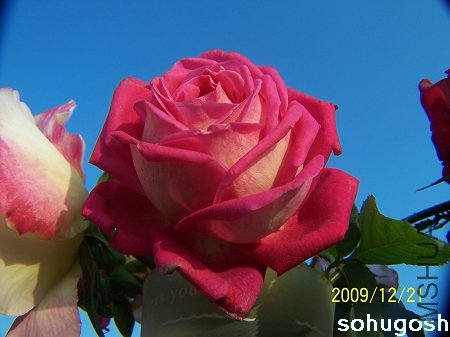 100_7175.jpg