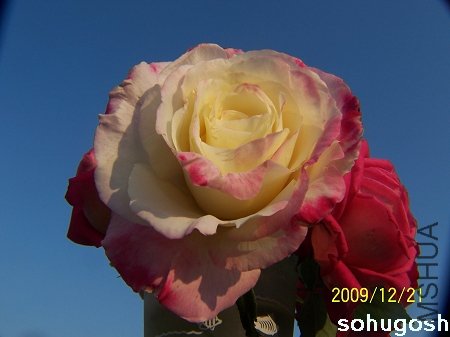 100_7176.jpg