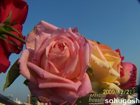 100_7173.jpg