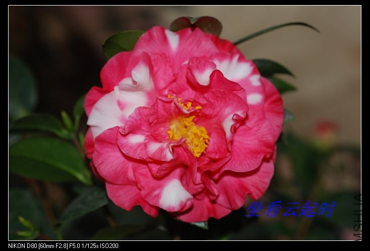 nEO_IMG_DSC_0004.jpg